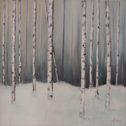 Bouleaux dans la neige