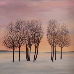Arbres au coucher du soleil
