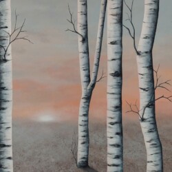 Lumière du soir